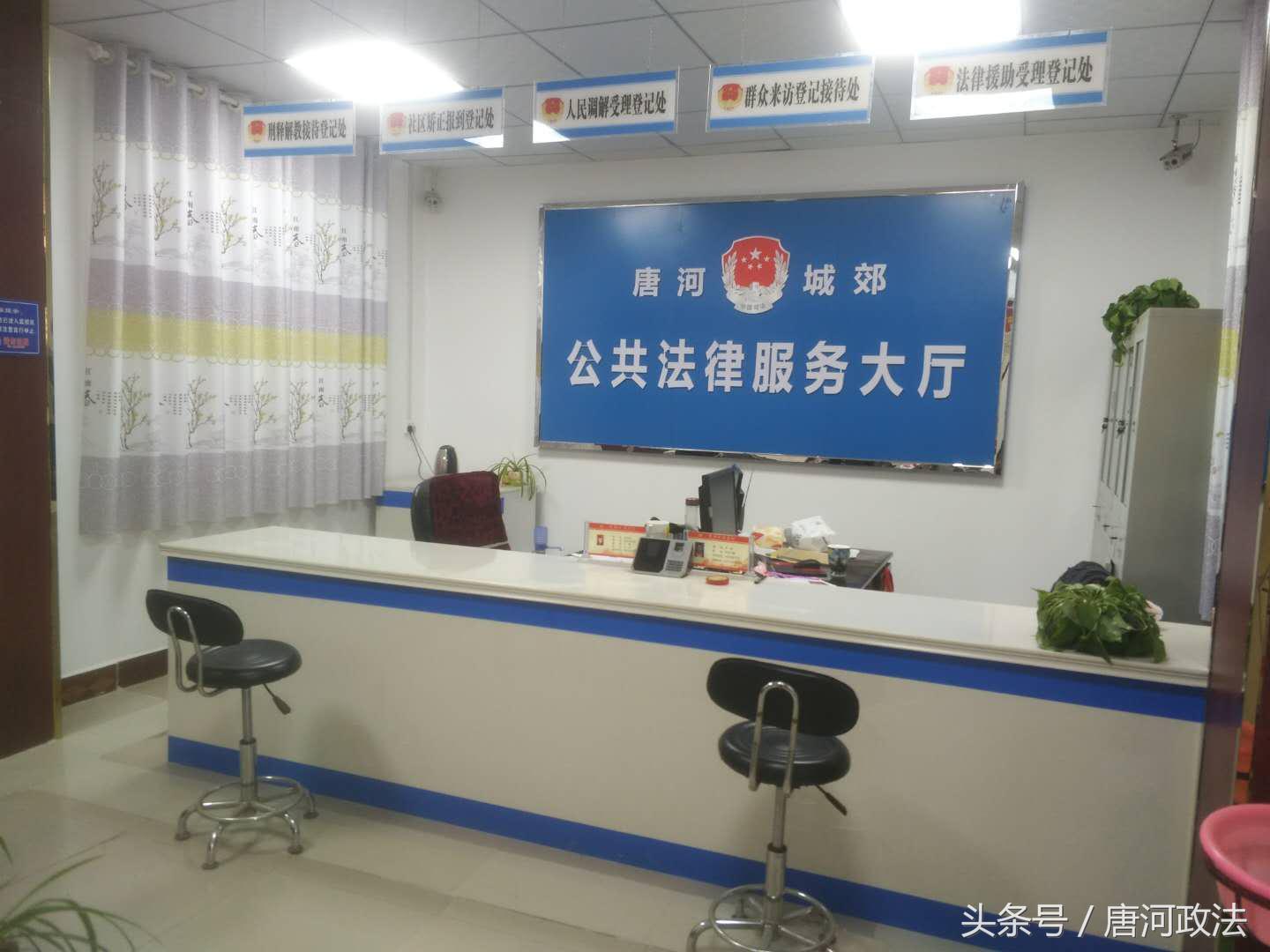 唐河新聞最新動態(tài)更新，唐河新聞速遞