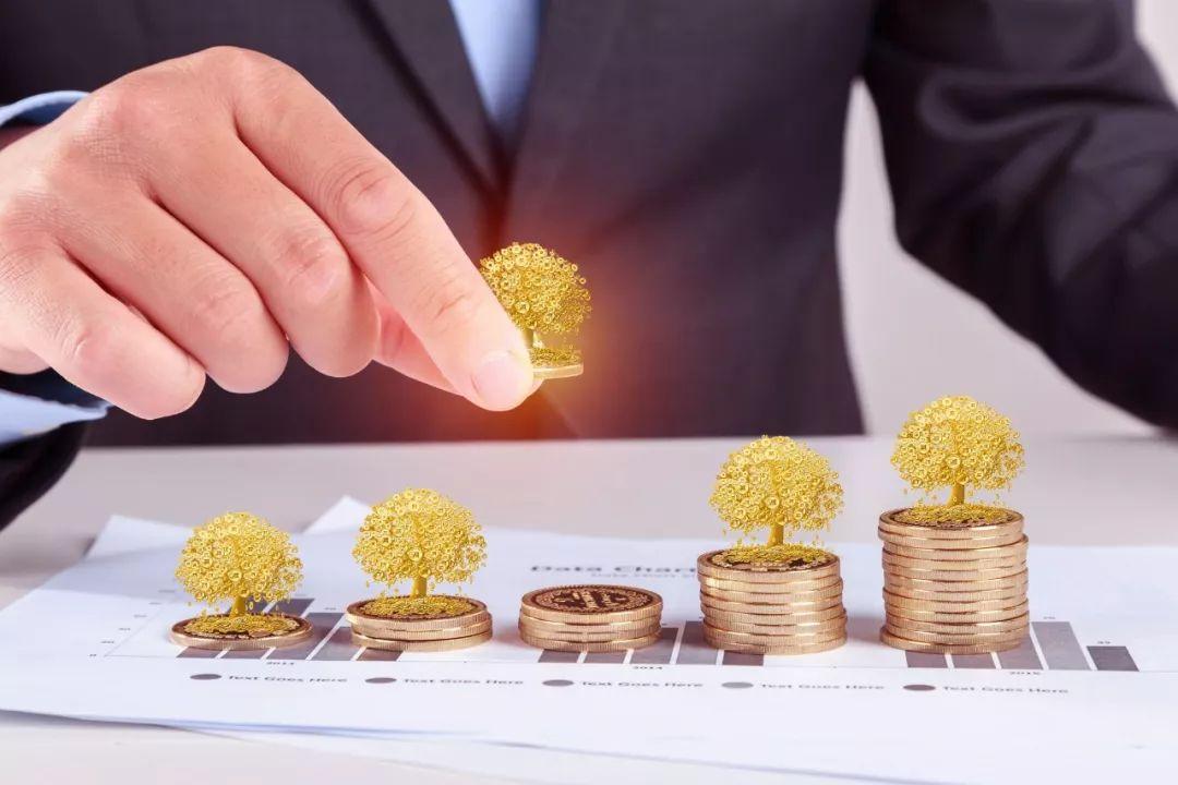 增持最新公告詳解，步驟指南與最新動態(tài)