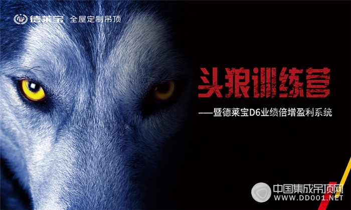 領(lǐng)狼資訊,領(lǐng)狼資訊，一場心靈與自然的美妙之旅