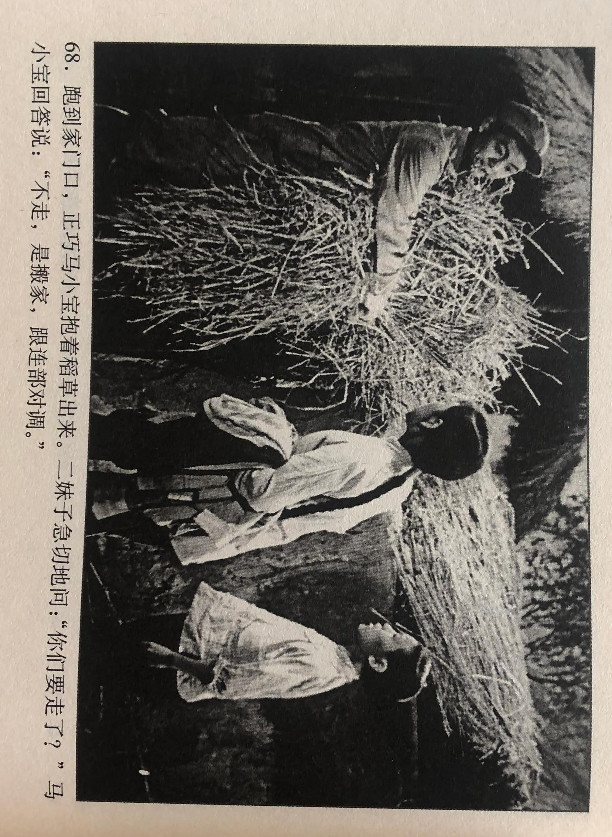 柳堡的故事電影,柳堡的故事電影，一部時(shí)代經(jīng)典的愛(ài)情傳奇