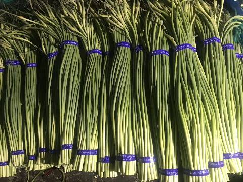 冷庫蒜苔價格實時動態(tài)，探尋背后的日常趣事與趣事分享