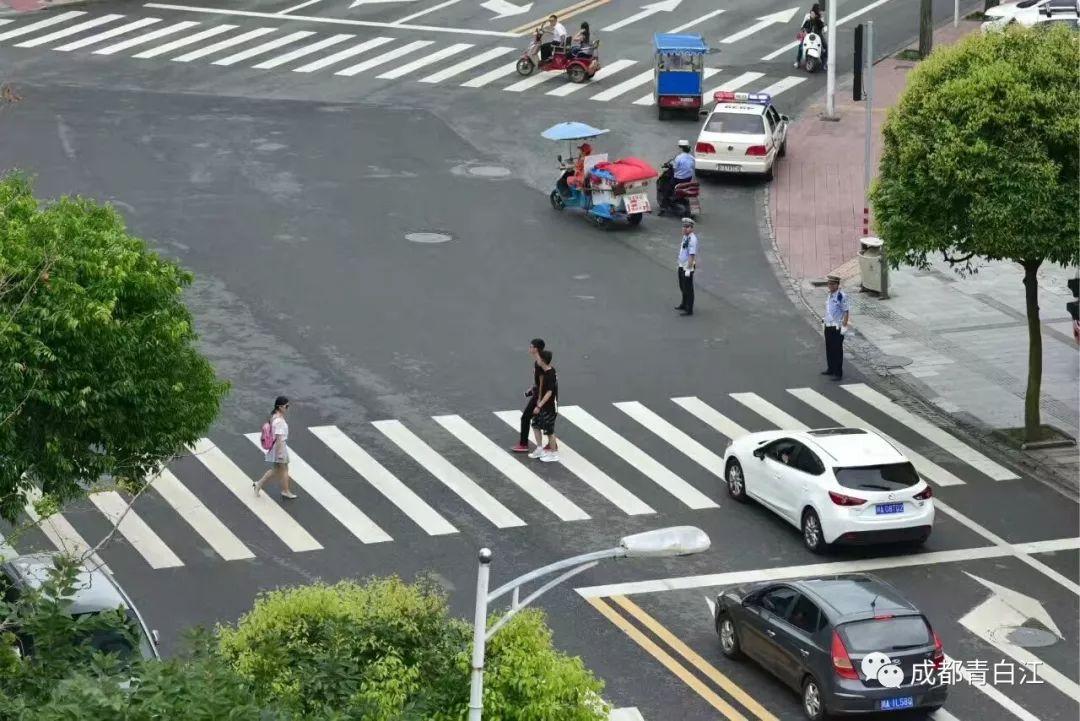 最新糧食資訊獲取指南，掌握最新糧食資訊，洞悉行業(yè)動態(tài)
