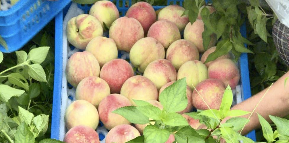 永康上市企業(yè)，心靈與自然的和諧之旅