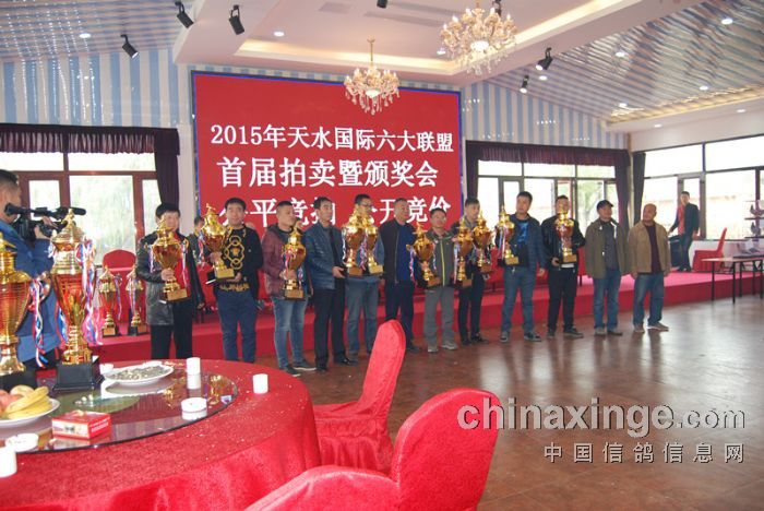 天津信鴿比賽直播網(wǎng)，小巷中的隱藏寶藏，云端與地面的競(jìng)技邂逅