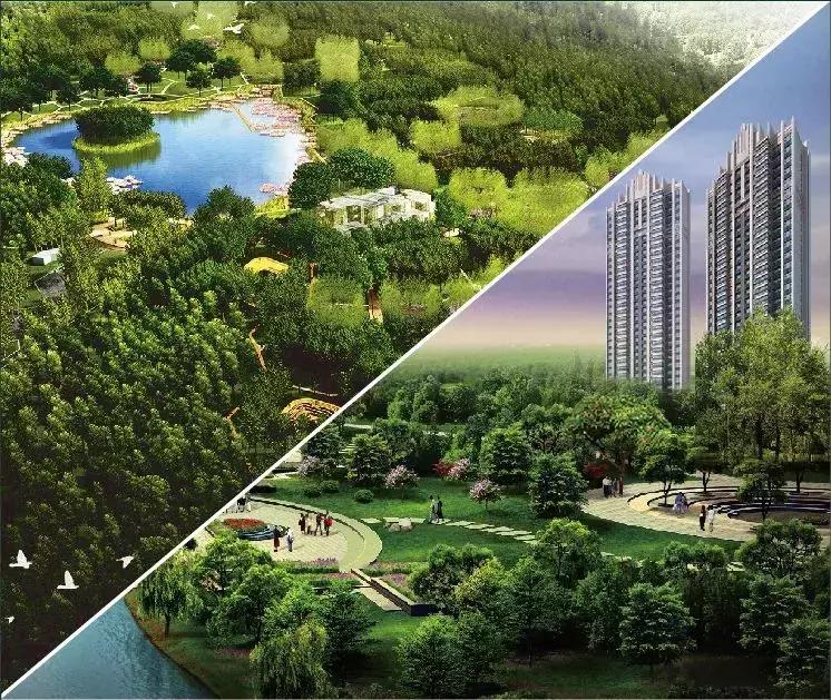 恒大林溪郡最新動(dòng)態(tài)揭秘，小巷中的隱藏瑰寶