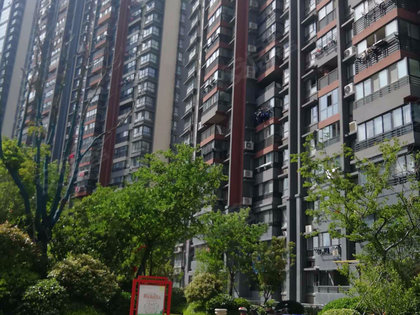 文澤府邸最新動(dòng)態(tài)揭秘，小巷中的隱藏瑰寶