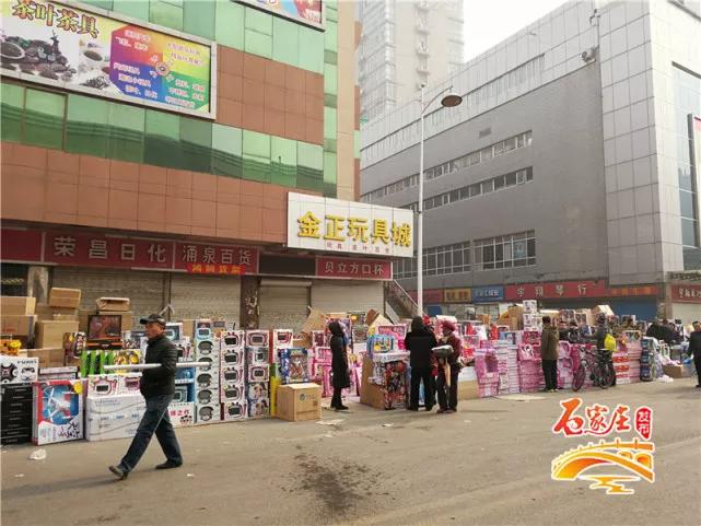 石家莊最新魚訊揭秘，探尋水族世界的奧秘之旅