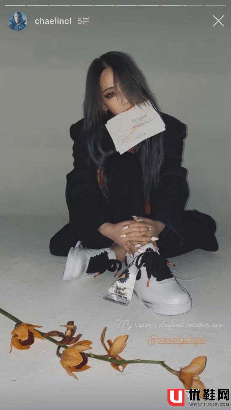 CL草遛社區(qū)最新動態(tài)，背景、事件與地位概述