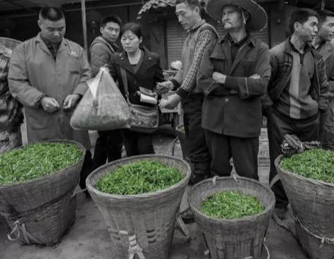 探索日本最新名優(yōu)名字，2025年最新名優(yōu)名字一覽