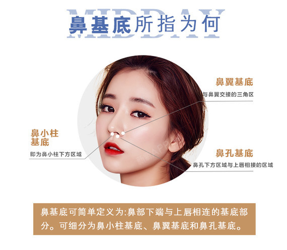 鼻基底最新，溫馨有趣的日常故事