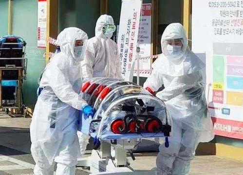 北朝疫情最新動(dòng)態(tài)，重要信息匯總????