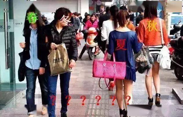 濰坊最新旅行指南，探索自然美景，遠(yuǎn)離喧囂尋找內(nèi)心平靜之旅