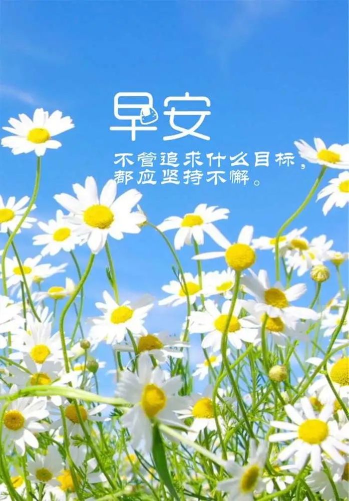 最新早安心語，開啟美好一天的詳細步驟與心靈寄語