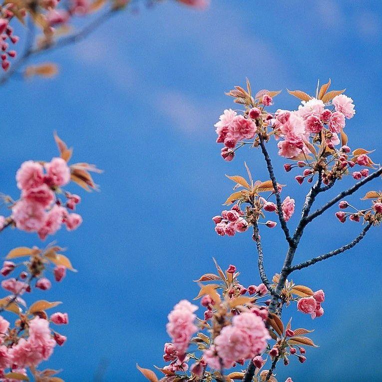 春暖花開之際，最新科技產(chǎn)品引領(lǐng)未來生活璀璨明珠