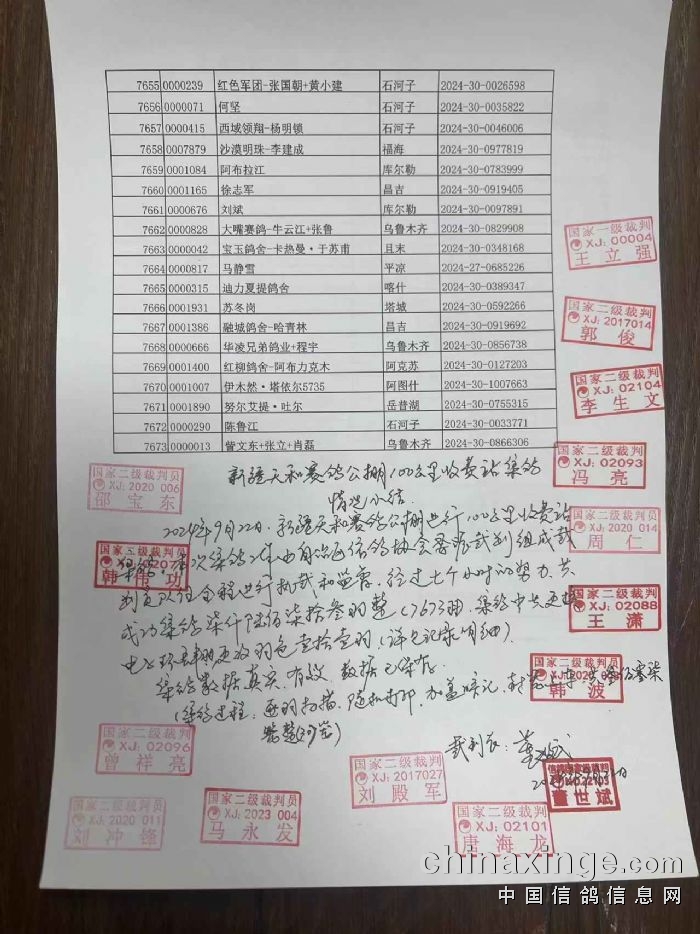 新疆賽鴿公棚最新公告揭秘，小巷特色小店與未知奇妙世界的探索！